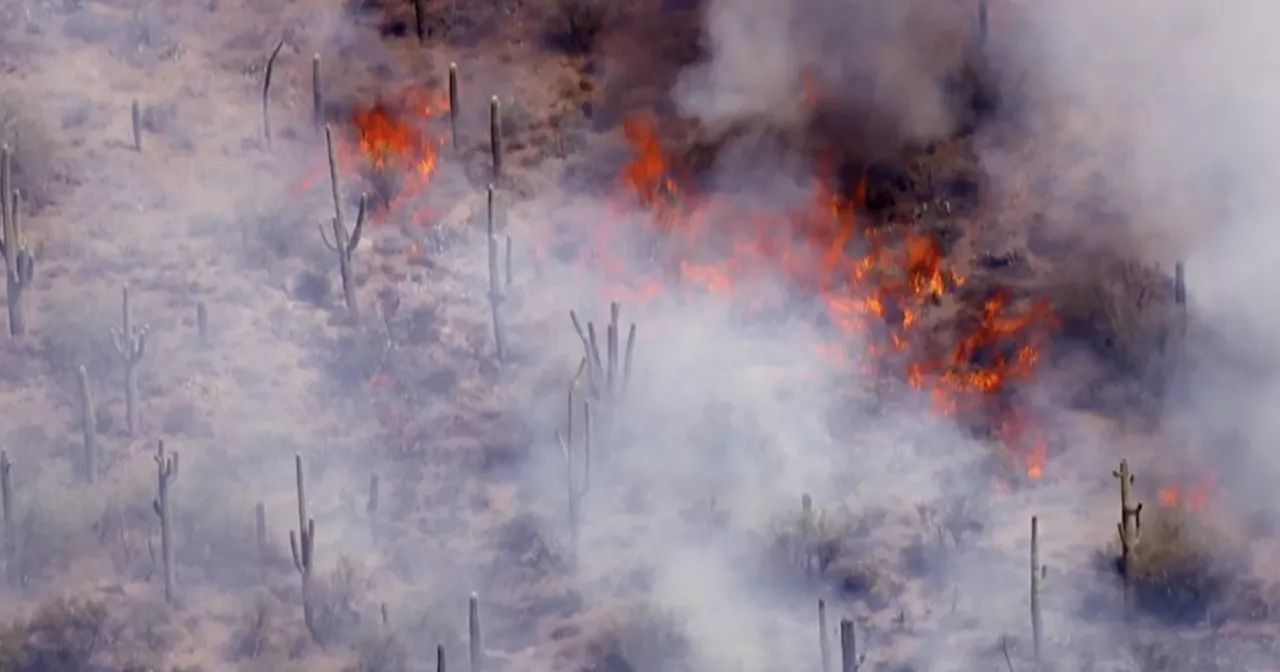 Evacuations due to Siphon Fire burning near Apache Junction, Point Fire near New River