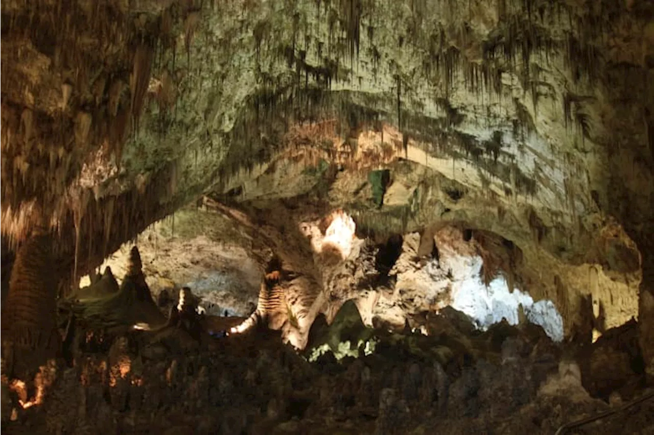 Is it worth crying over spilled Cheetos? Absolutely, say rangers at Carlsbad Caverns National Park