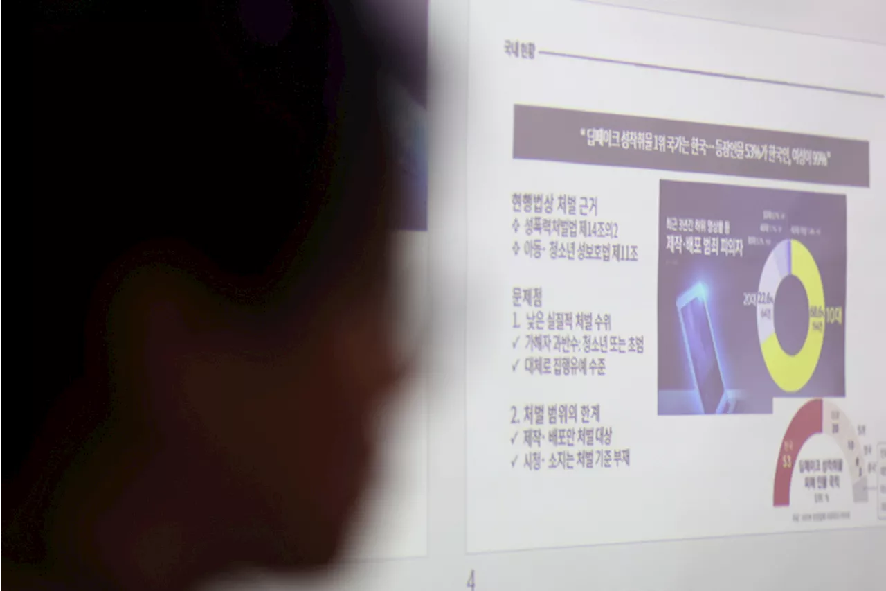 ‘딥페이크 성착취’ 방치한 정부와 국회, 빅테크 책임 어디까지 물을까 [플랫]