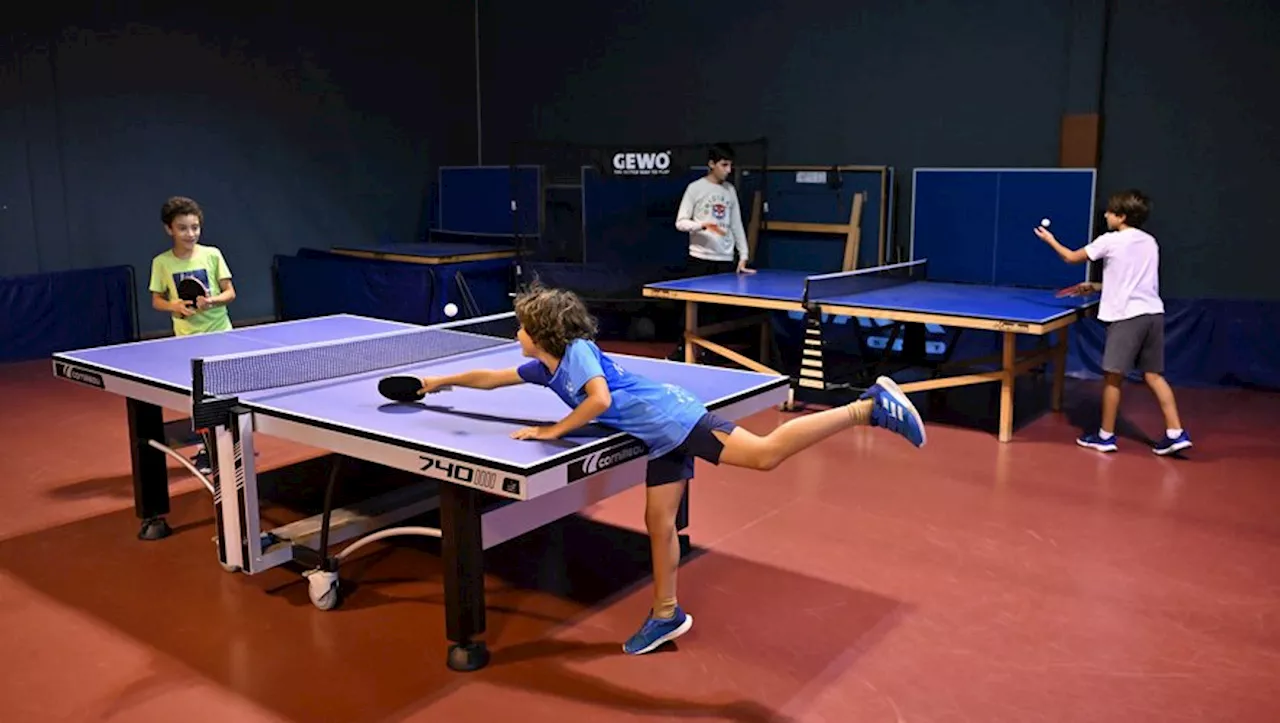 Au Toulouse Tennis de Table, l’ombre des frères Lebrun