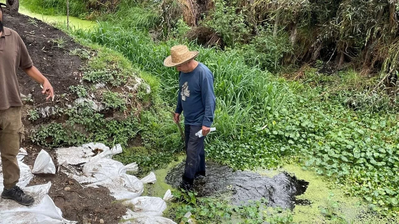 Xochimilco se seca; no hay agua en canales y la agricultura se desploma