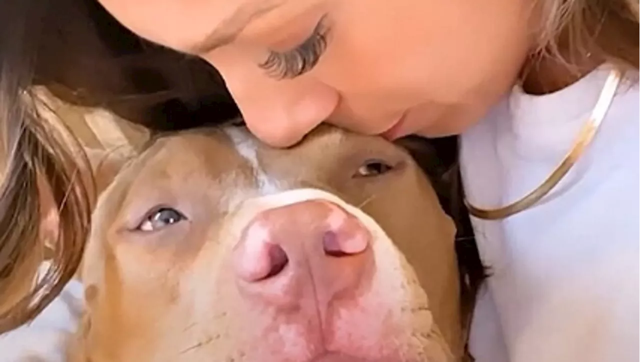 Un legame inaspettato: una mamma e un Pit Bull uniti dal dolore