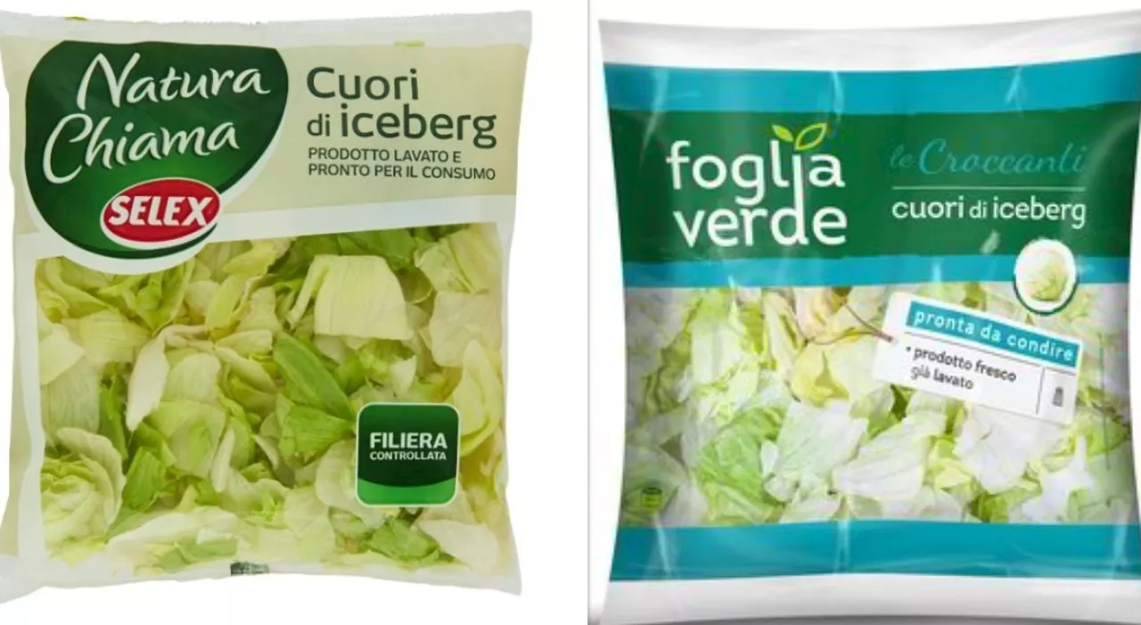 Insalata iceberg e lattuga in busta ritirate dai supermercati: rischio Listeria, 19 marchi richiamati