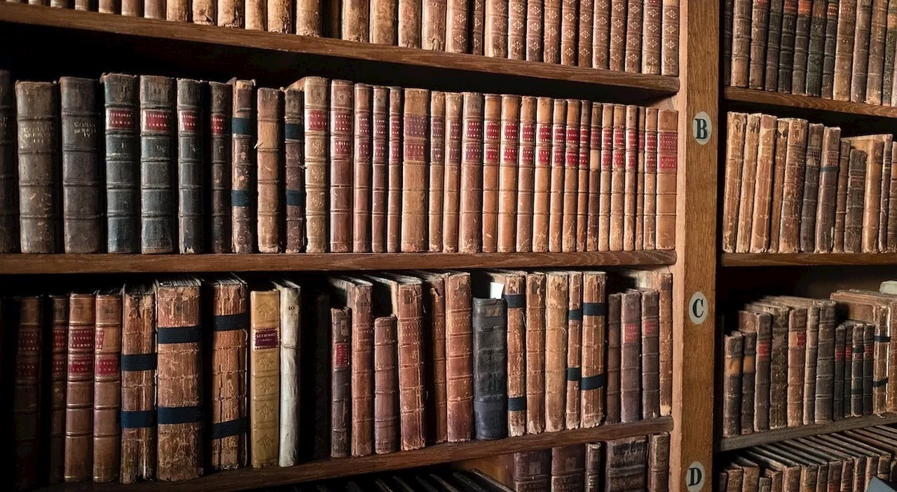 Le librerie e biblioteche più curiose al mondo: da Londra alla chiesa sconsacrata