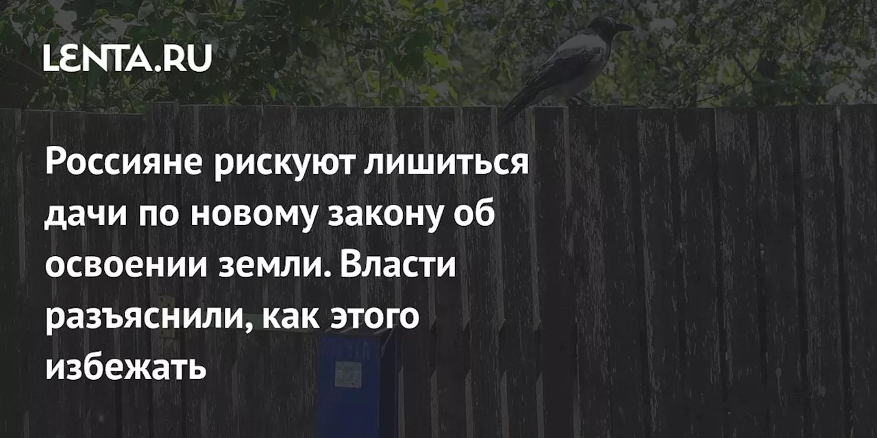 Россияне рискуют лишиться дачи по новому закону об освоении земли. Власти разъяснили, как этого избежать