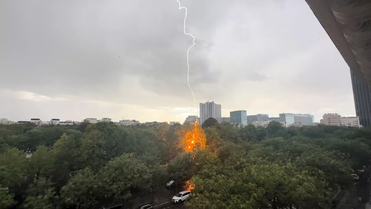 Orage à Paris : les images impressionnantes d’un arbre du cimetière Montparnasse frappé par la foudre