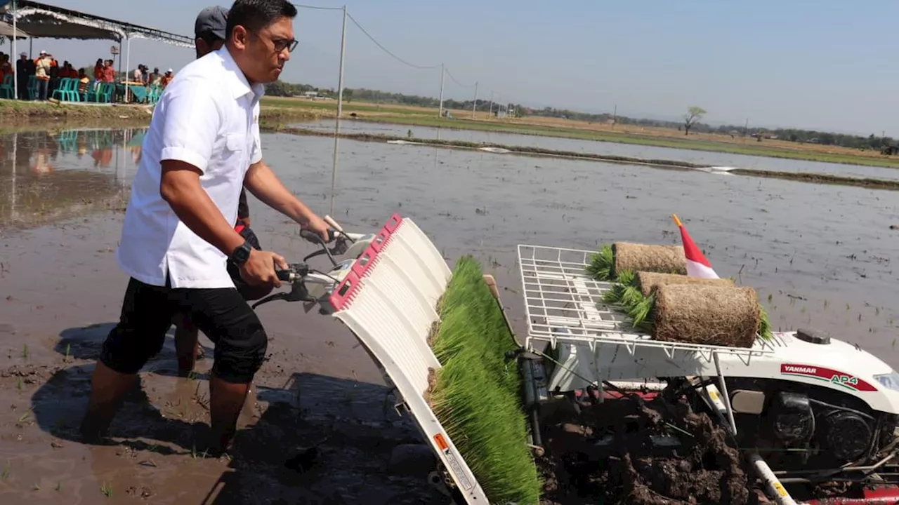 Dukung Program Asuransi Pertanian Ahmad Ali-AKA, Wamentan Dorong Gencarkan Sosialisasi