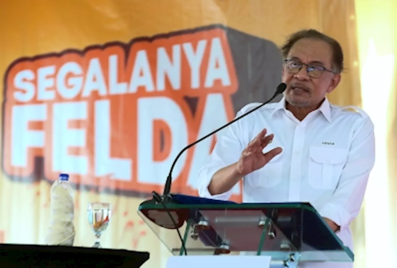 PM Anwar: Federal, state govts to work with Felda on Tambisan native customary rights land return