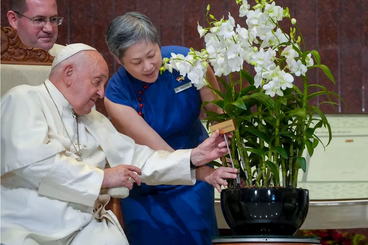 Pope marvels at Singapore's skyscrapers, asks that lowest migrant workers not be forgotten