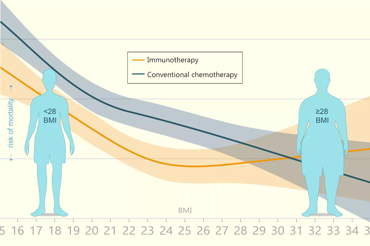 BMI's relation to cancer therapy mortality risks not so straightforward, study finds