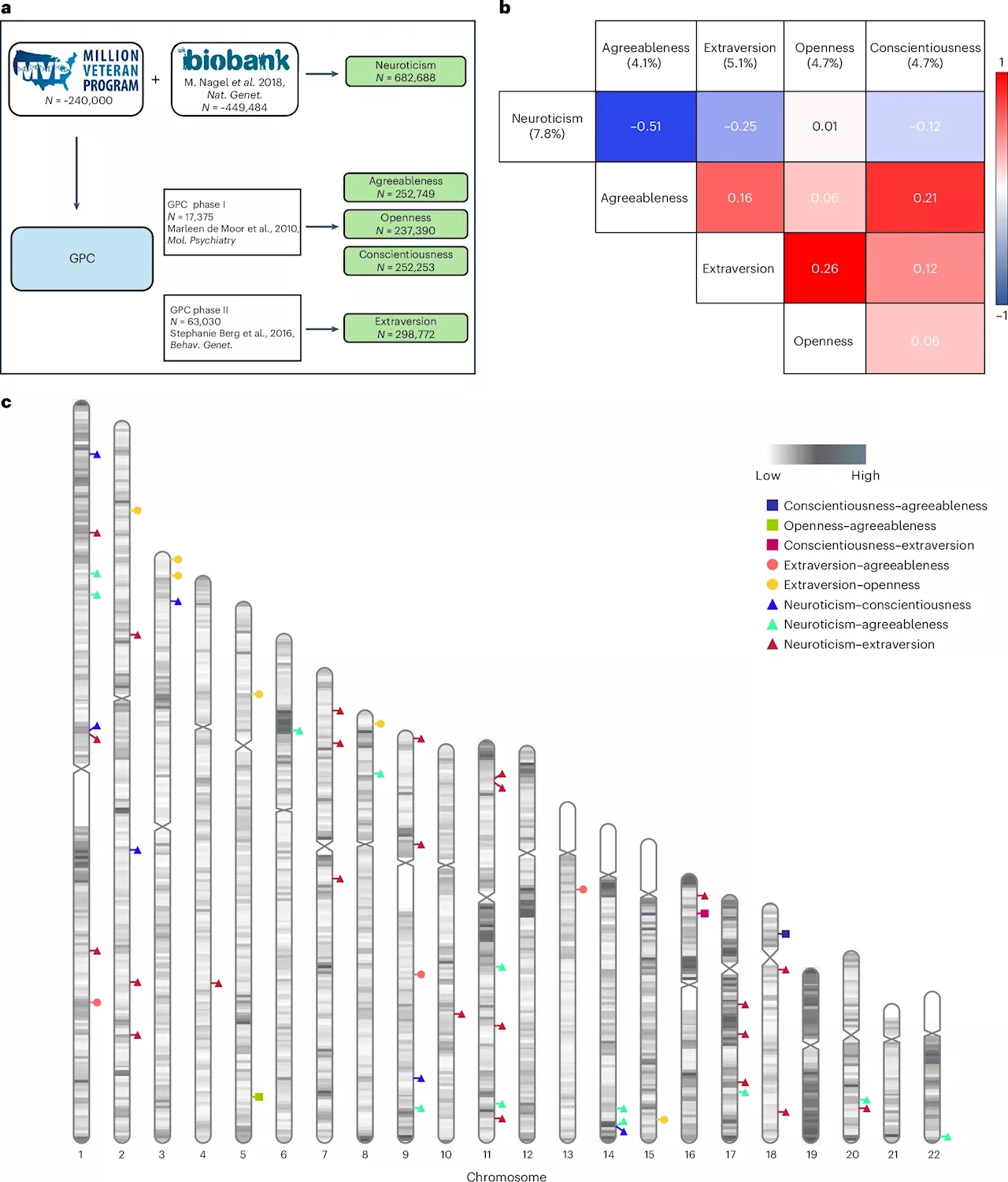 How Genes Shape Personality Traits: New Links Discovered