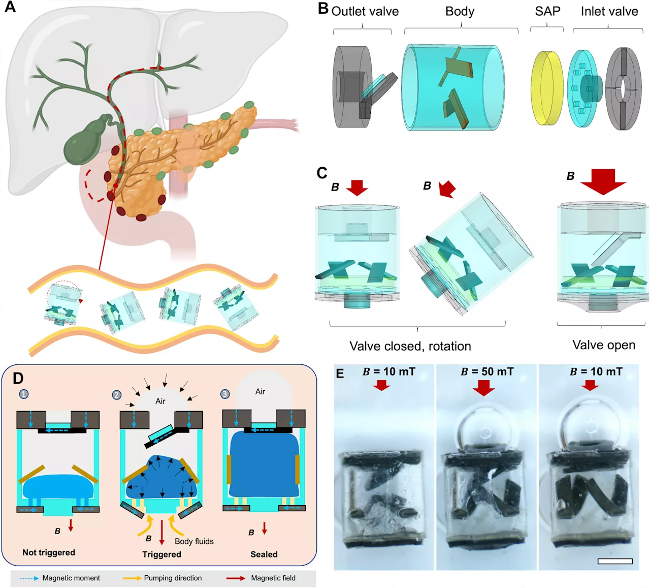 Novel technology enabling sampling of liquids in confined spaces could aid early detection of cancer