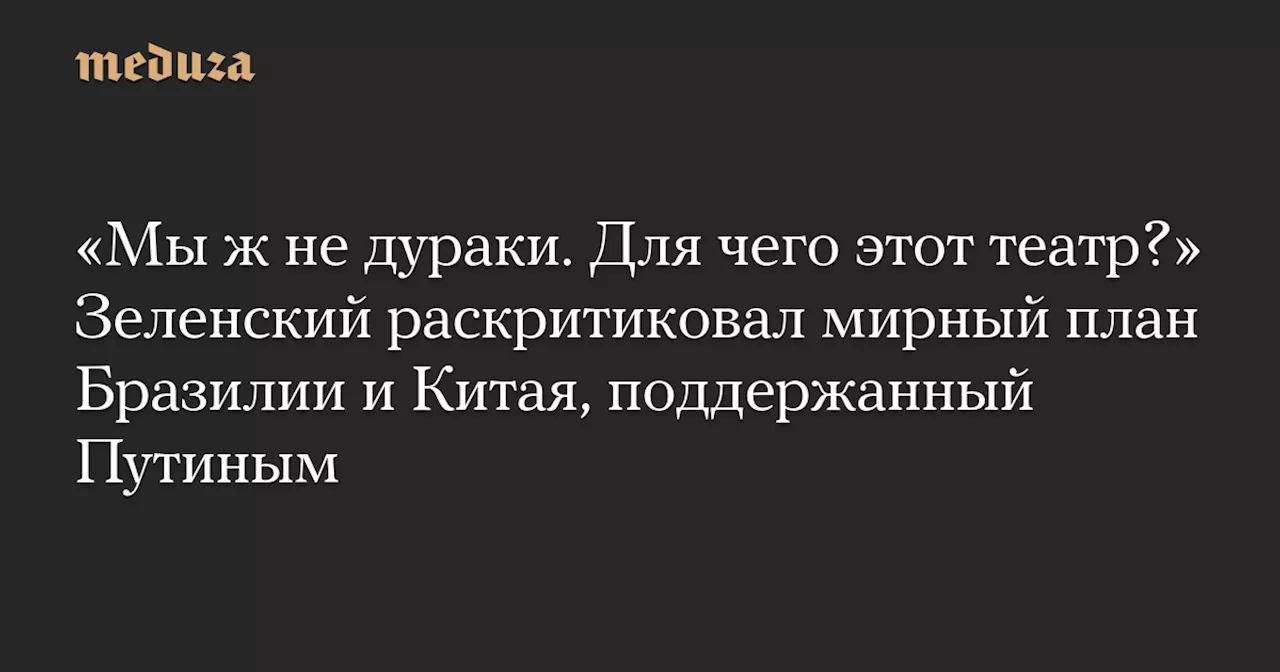 «Мы ж не дураки. Для чего этот театр?» Зеленский раскритиковал мирный план Бразилии и Китая, поддержанный Путиным — Meduza