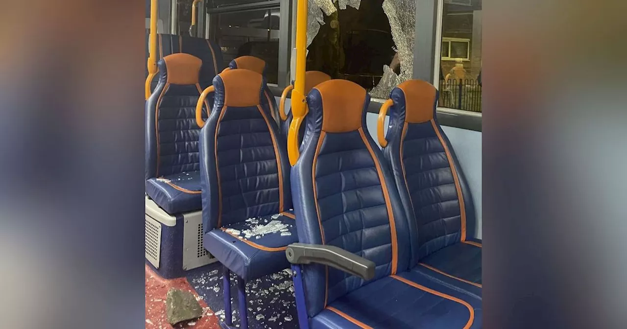 Woman left needing surgery after brick hurled at moving bus hits her face