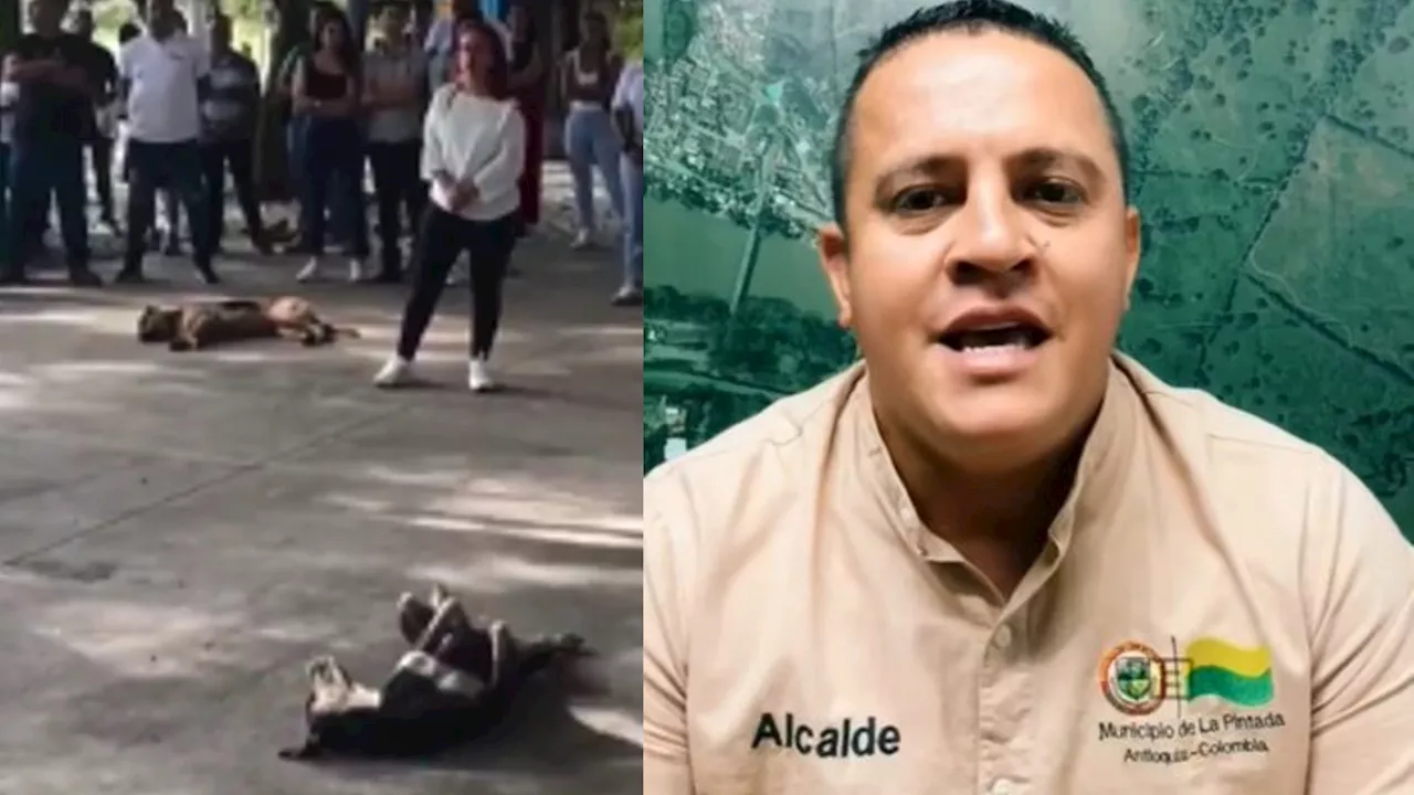 Gobernador de Antioquia interviene en controversia por expulsión de perros en La Pintada