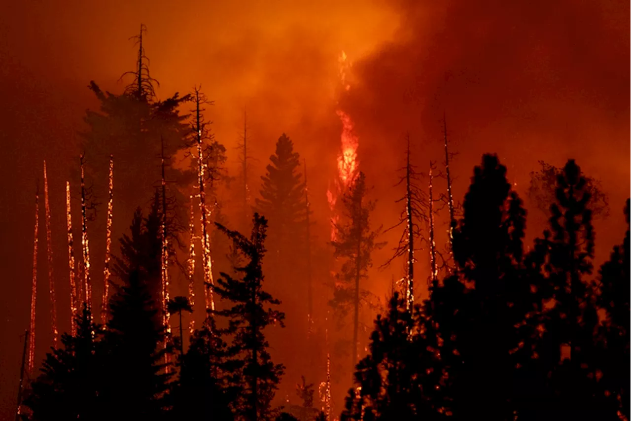 Los Angeles wildfire engulfs homes, charred buildings shrouded in smoke