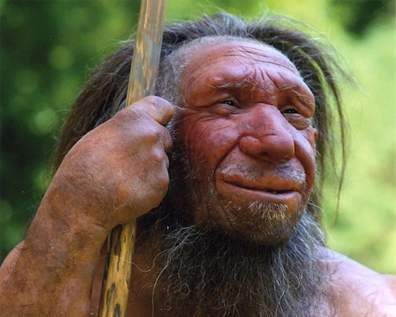 Was lack of get-up-and-go meant death of Neanderthals?