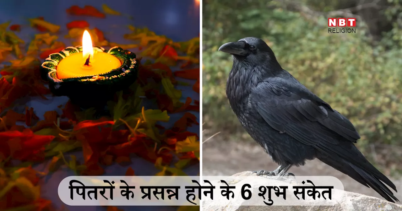 Pitru Paksha 2024: पितरों के खुश होने के संकेत देती हैं ये 6 विशेष घटनाएं, पितृपक्ष में नजर आने पर समझ लें कि जीवन के दुख अब दूर होने वाले हैं