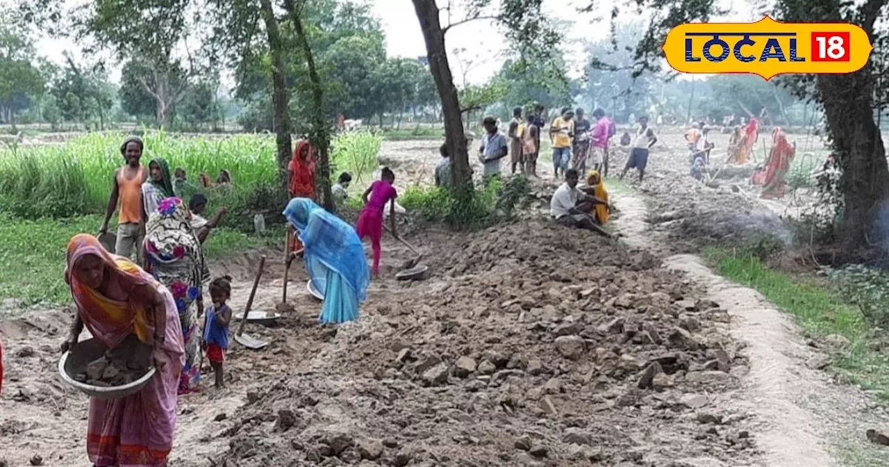 कैसे बनता है मनरेगा जॉब कार्ड, किन सरकारी योजनाओं का मिलता है लाभ, जानें पूरी प्रक्रिया