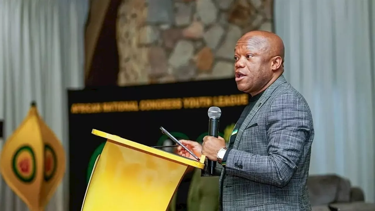 'ANC Youth League experience is not a guarantee for top ANC positions'