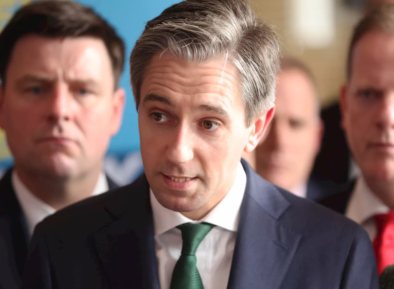 Asylum Seekers Could Be Asked To Contribute To Support Services