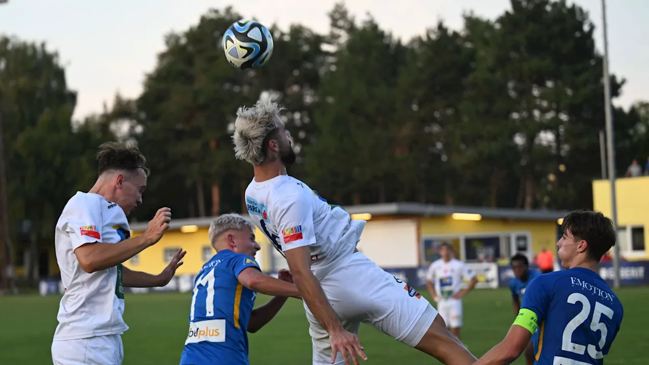 Jetzt will Zwettl auch Angstgegner Ortmann biegen