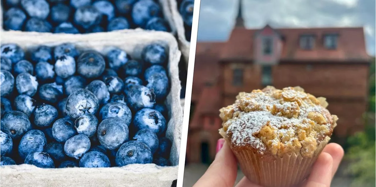 Mit Zimt-Streuseln: Diese fluffigen Blaubeer-Muffins m&uuml;ssen Sie probieren