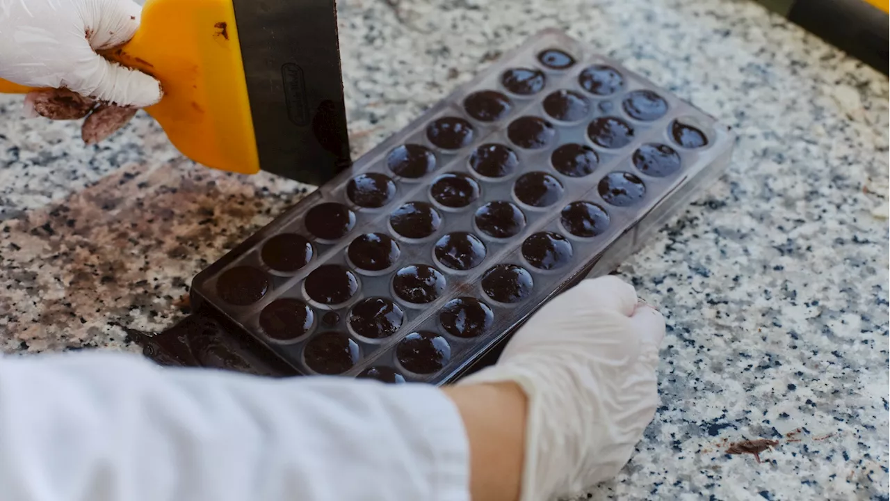 Climate change prompted these scientists to reinvent chocolate