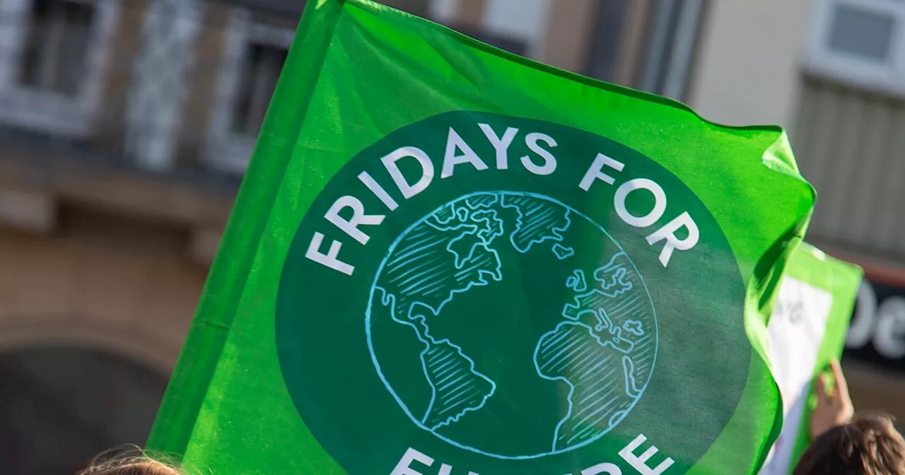 Fridays for Future Paderborn plant Klimastreik gegen Rechtsruck