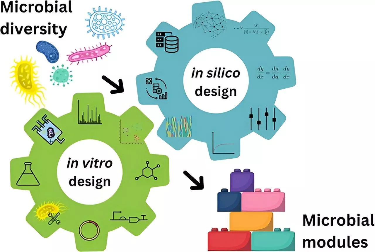 Study highlights role of computational biology in microbial community design