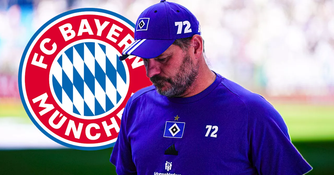 FC Bayern München: Sensations-Transfers geplatzt! HSV wollte sich beim FCB bedienen