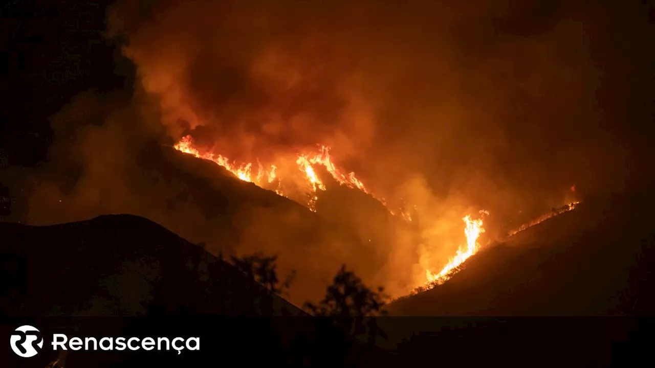 Estado de emergência declarado em Los Angeles devido a incêndios