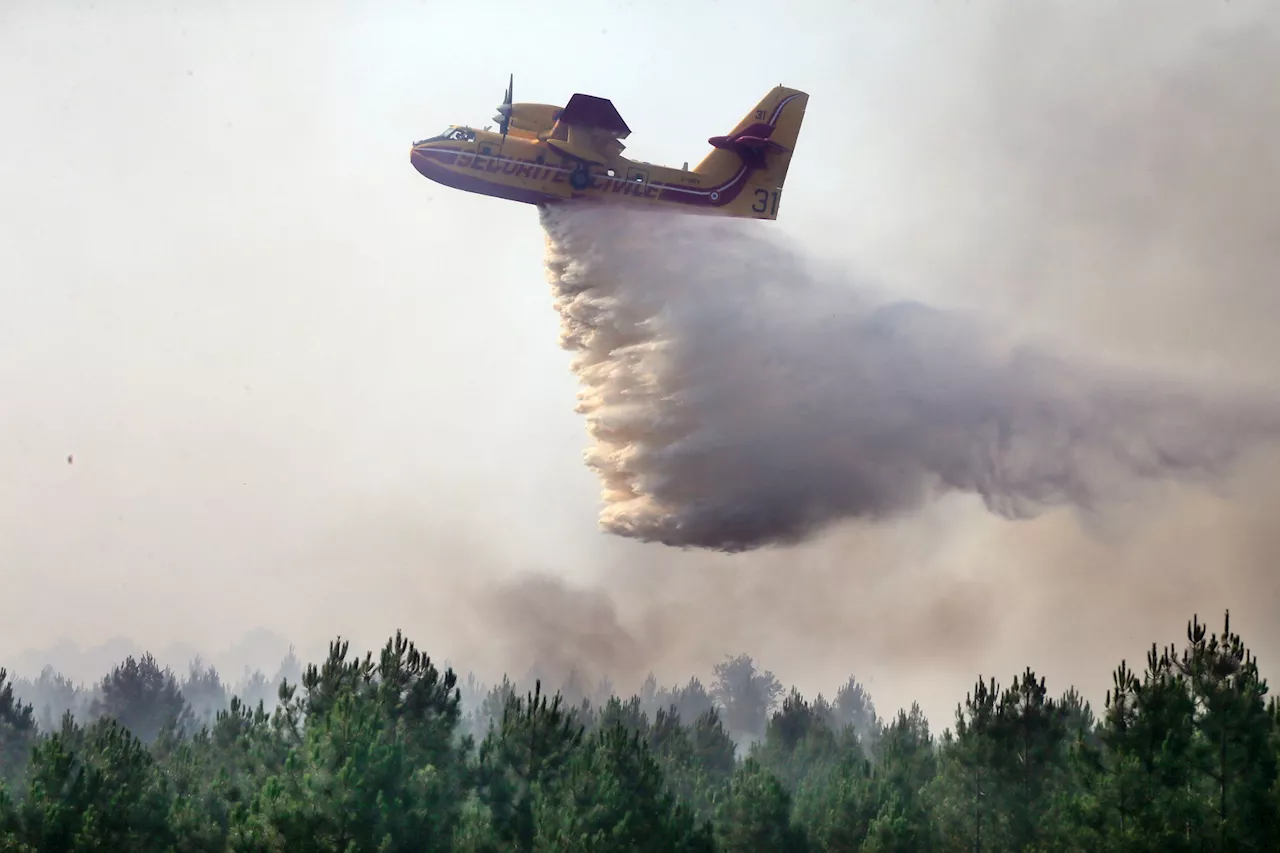 Incendie dans les Pyrénées-Orientales : 500 hectares déjà partis en fumée, des dizaines d'habitants évacués