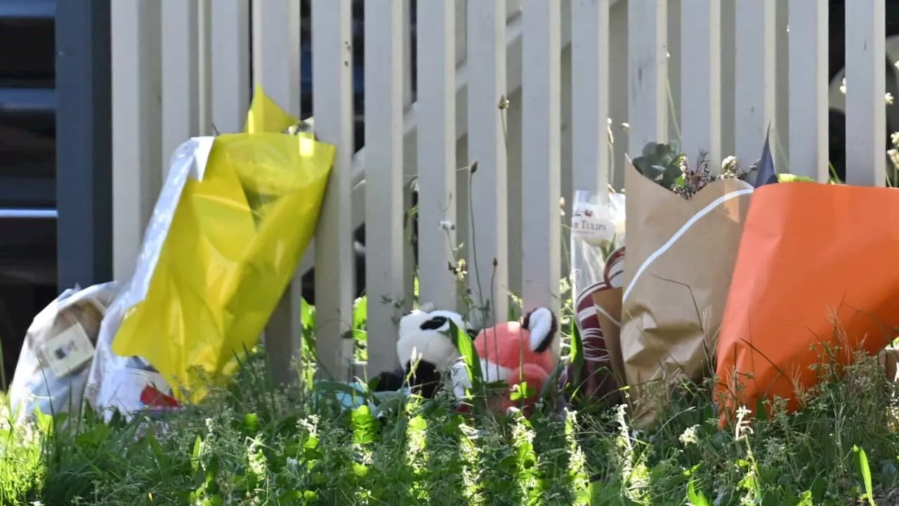 'Very much loved': Father's tribute to 'beautiful' sons found dead in Blue Mountains home