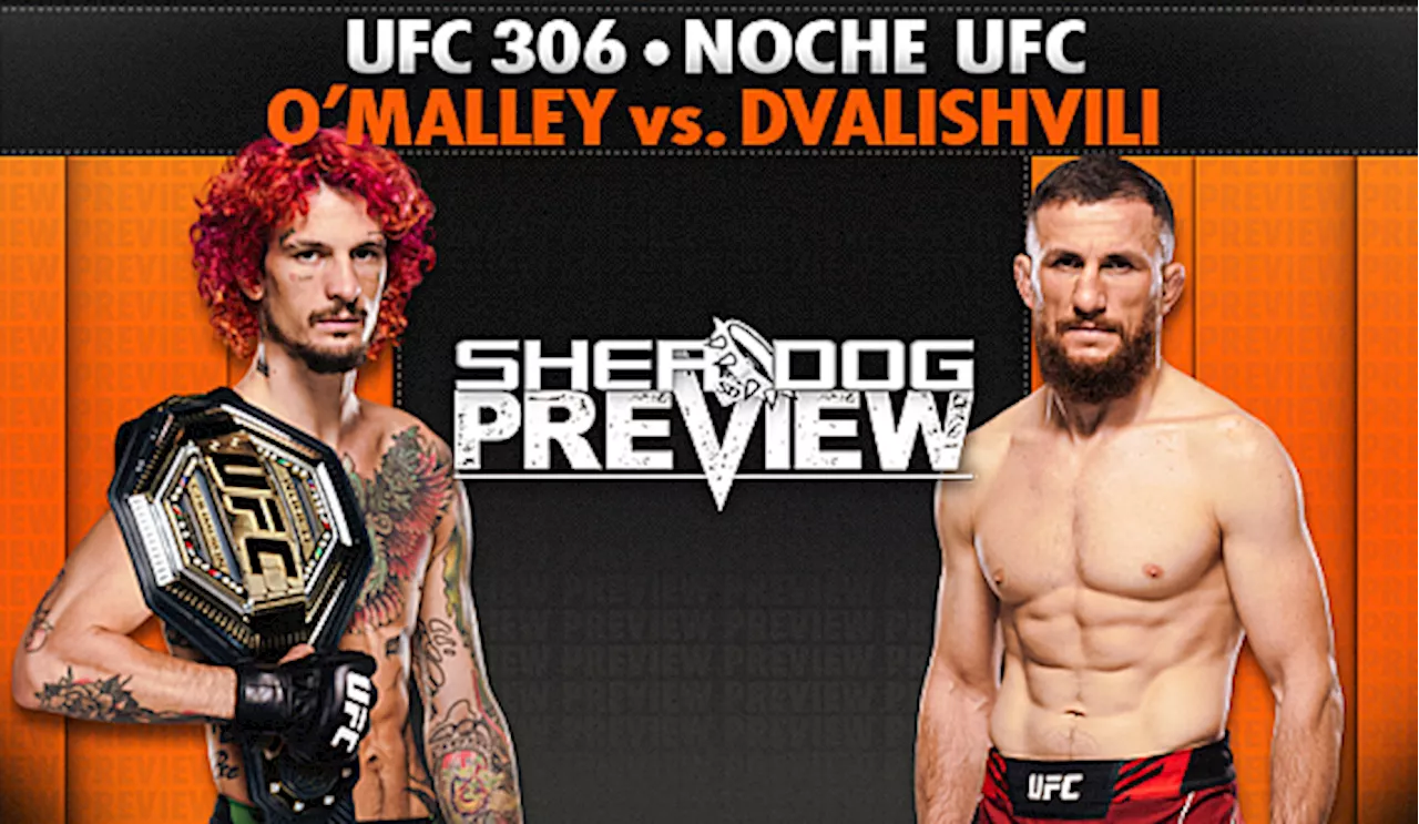 UFC 306: O'Malley vs. Dvalishvili Preview