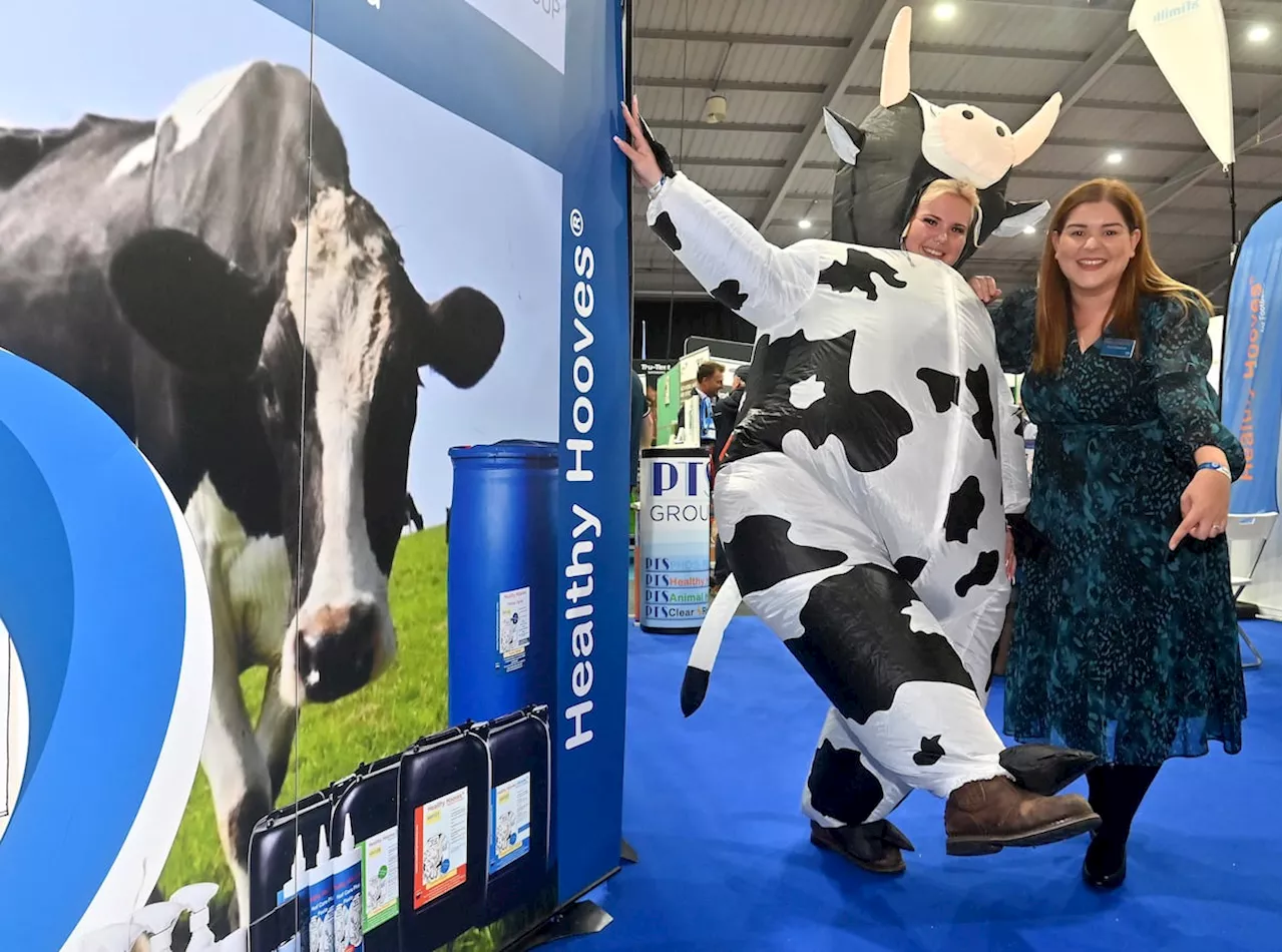 UK Dairy Day celebrates tenth anniversary as visitors head to Telford