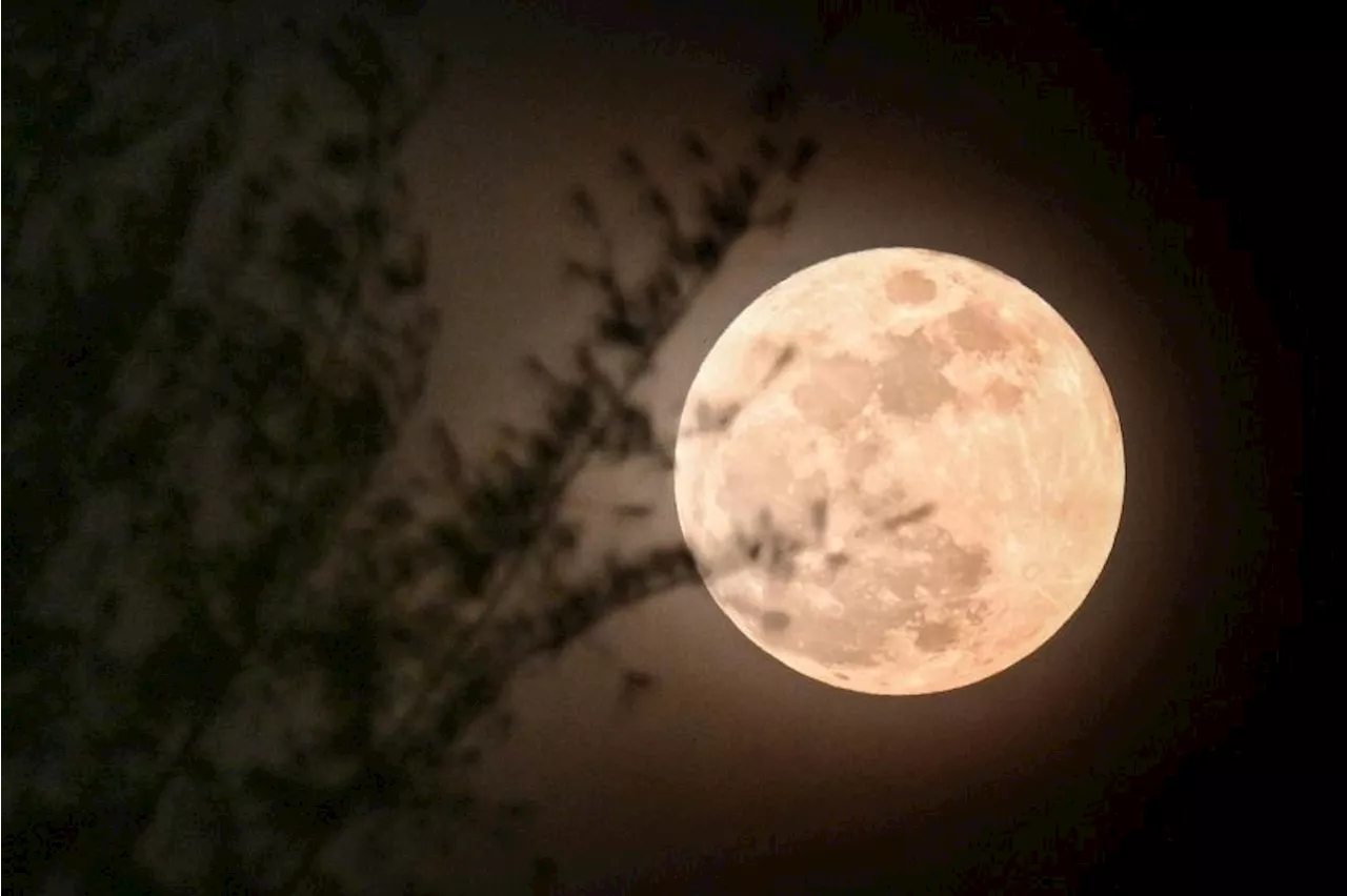 Harvest Moon to light up the sky on Sept 18, day after Mid-Autumn Festival