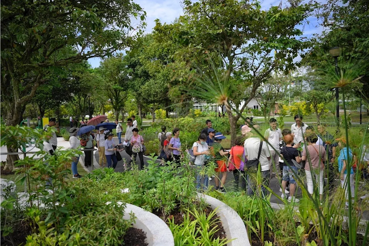 Second Therapeutic Garden Opens in West Coast Park