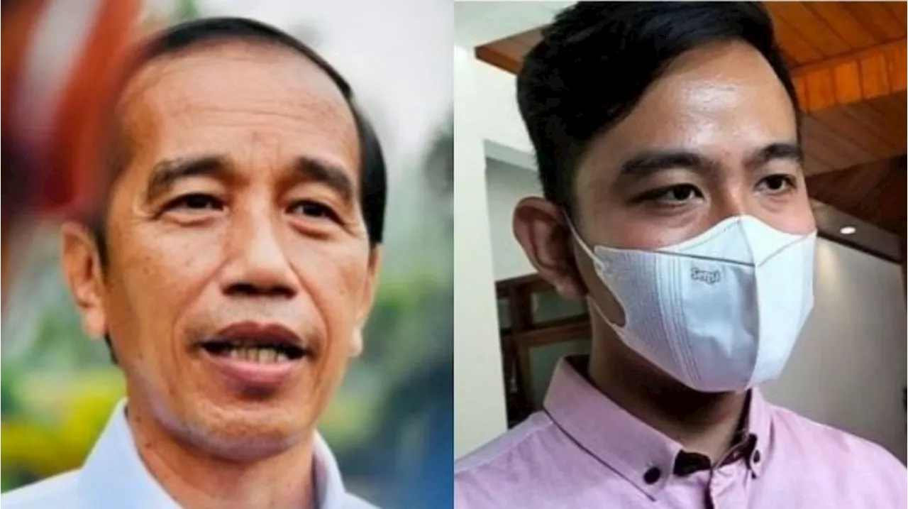 Jejak Digital Jokowi Sebut Akun Chilli Pari Gibran Rakabuming, Bukti Baru Lagi Pemilik Fufufafa?