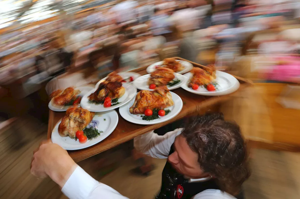 Oktoberfest 2024 in München: Wiesn-Wirte kämpfen gegen Bio-Hendl-Notstand