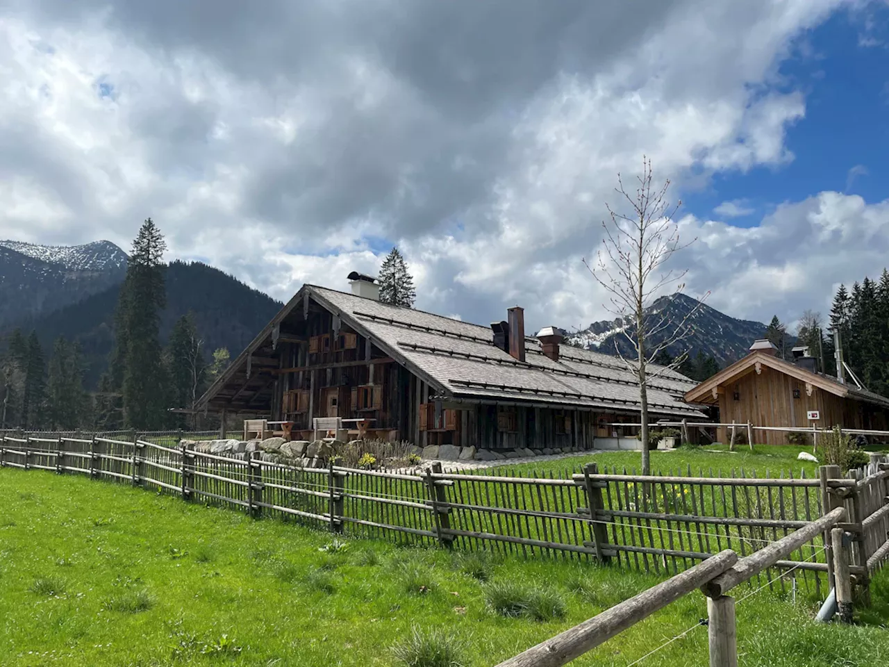 Prozess um Saurüsselalm im Söllbachtal: Großgrundbesitzer Haslberger zieht Bauantrag zurück