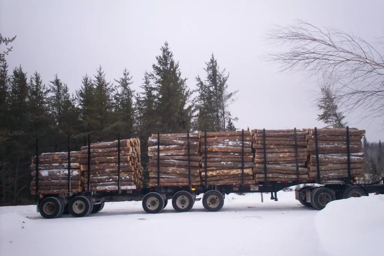 Thunder Bay-made logging trailer hits the market