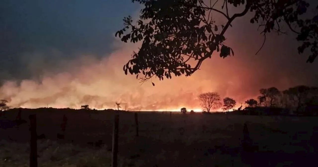 São Paulo continua com incêndios e capital paulista tem 'chuva' de fuligem