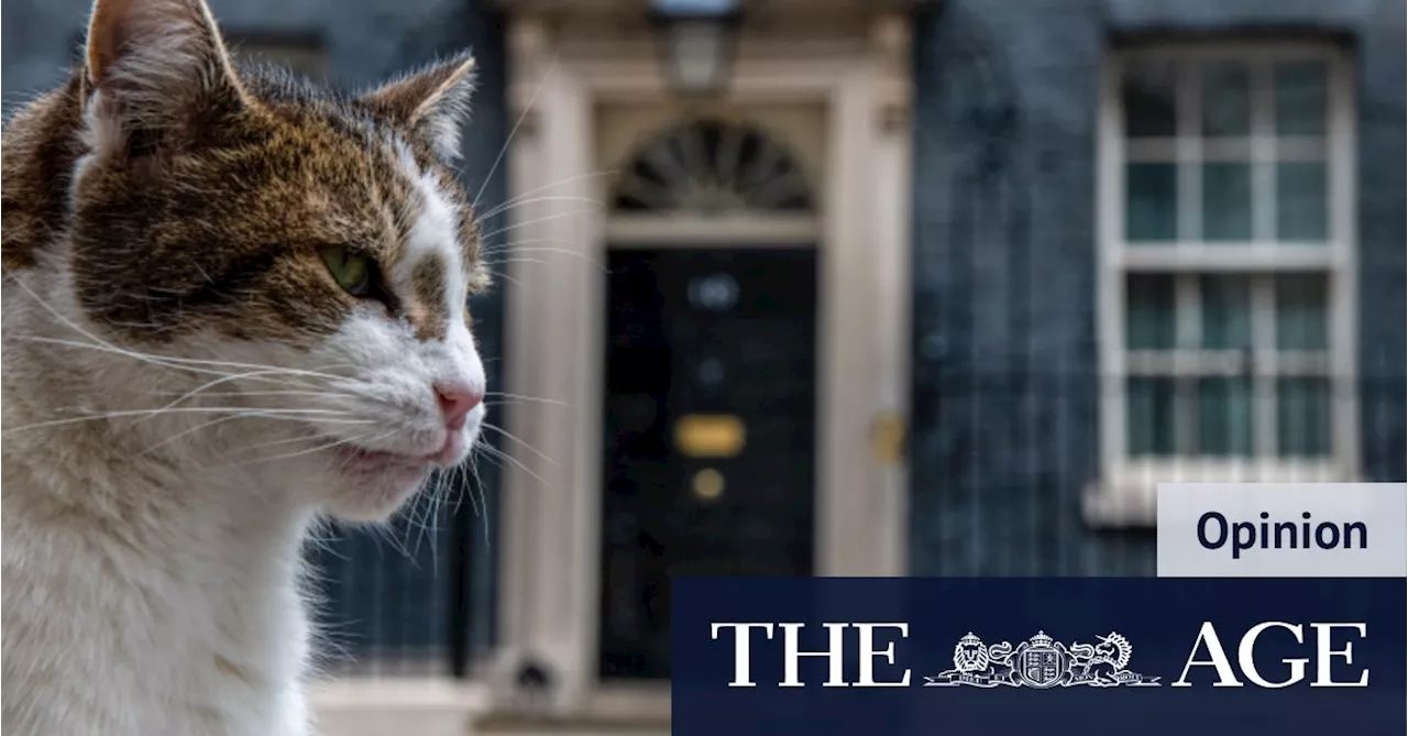 Why Larry the cat of 10 Downing Street wishes Starmer hadn’t won the election