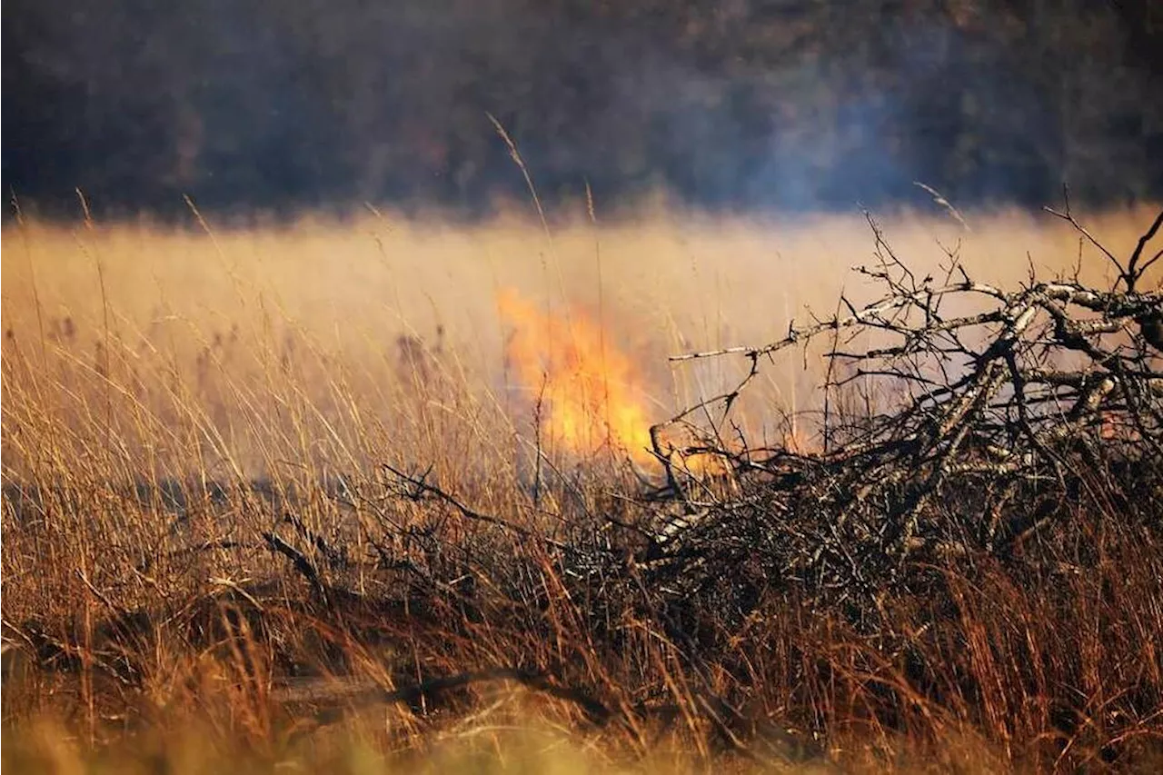 DND plans 'prescribed burns' at Metchosin's Rocky Point