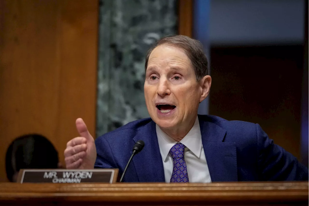 US Could Fully Fund Social Security by Targeting Wealthy Tax Dodgers, Wyden Says