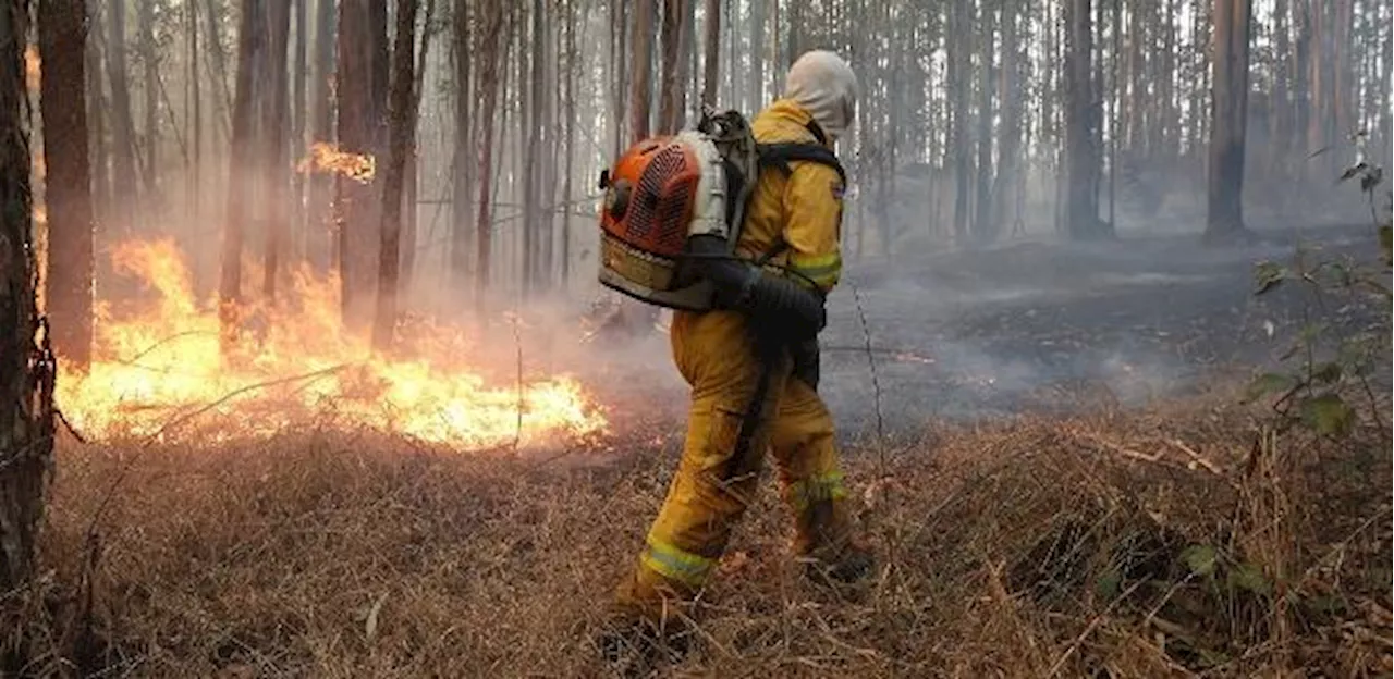 Imagens aéreas mostram combate a incêndios com helicópteros em SP