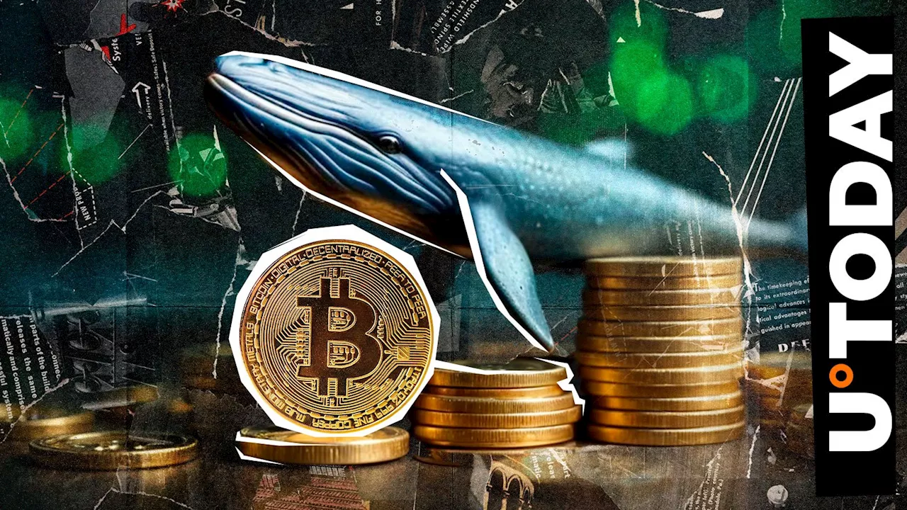 After Losing $40 Million, This Bitcoin Whale Makes Next Major Move