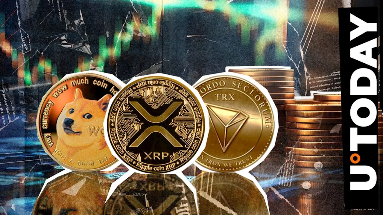 XRP, DOGE and TRX Display Rare Bullish Correlation