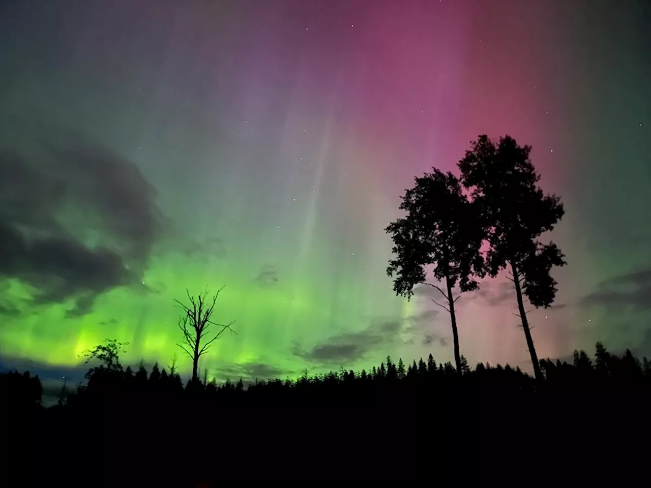 Kraftig nordlys flere steder: – Kona har rigget klart kamera og stativ til i natt